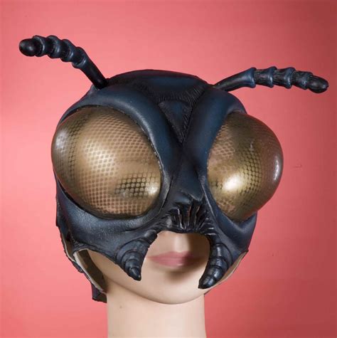 fly eyes costume|fly costumes.